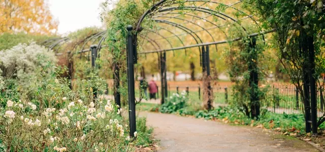 The Rose Garden in Hyde Park | The Royal Parks